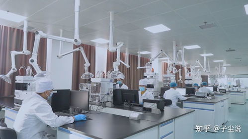 先创新,后挖潜,用合作带动产品开发——金木集团打开眼界算细账